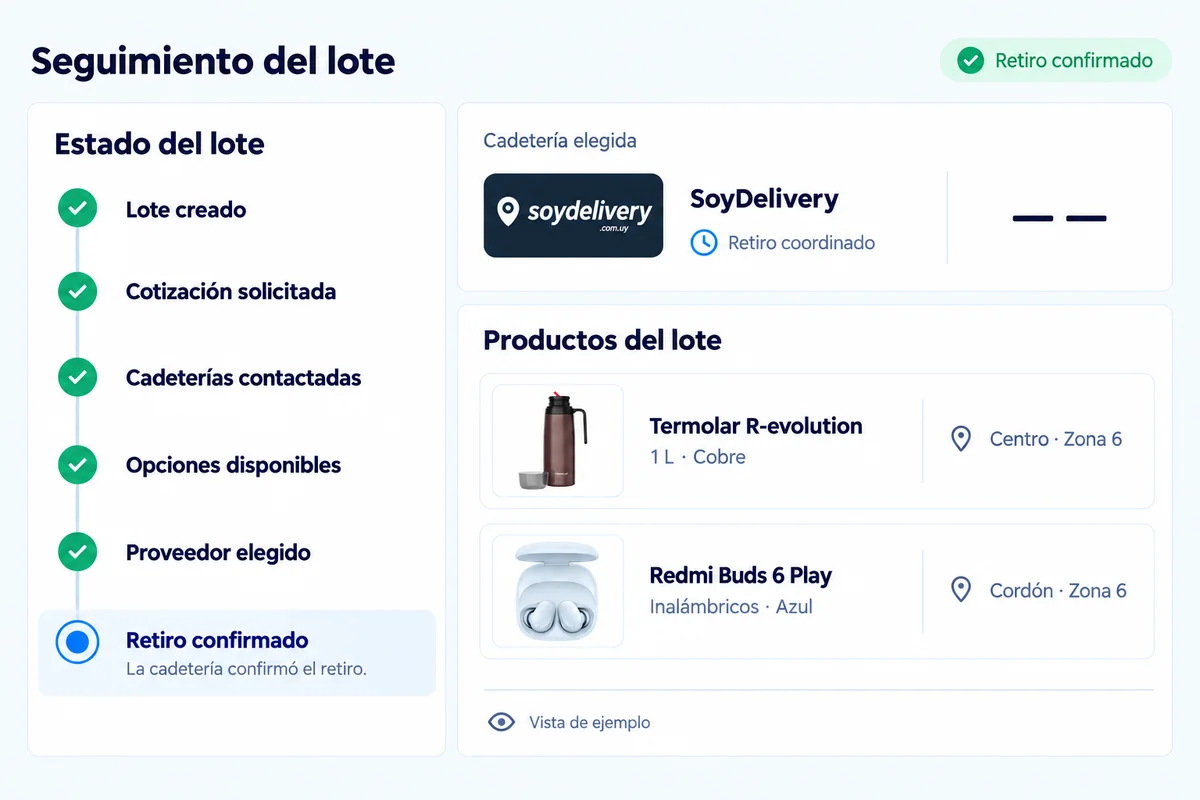Vista ilustrativa del retiro: etapas del lote, SoyDelivery y productos Termolar y Redmi con su zona de entrega